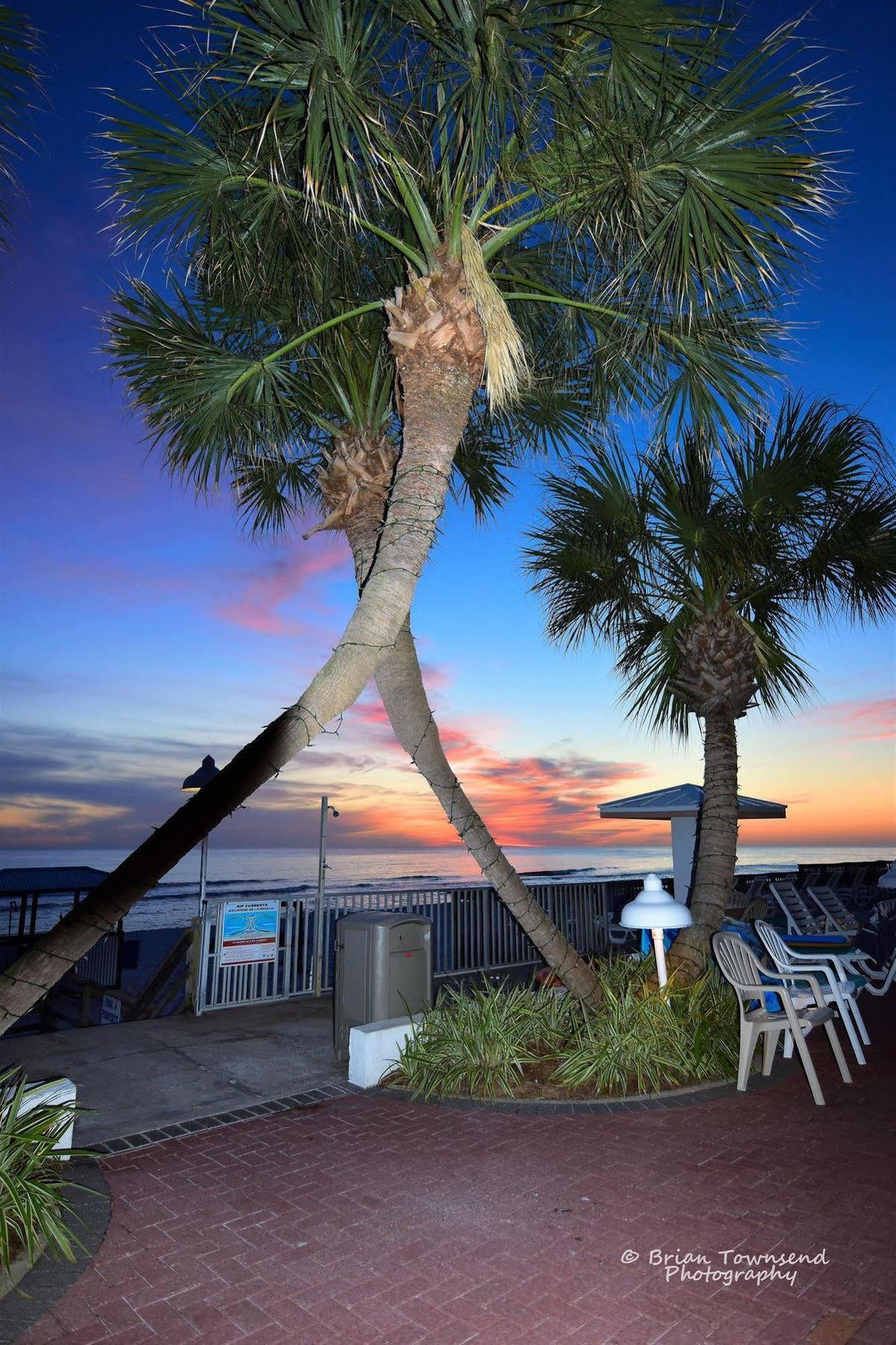 Palmetto Inn & Suites On The Beach Panama City Exterior photo